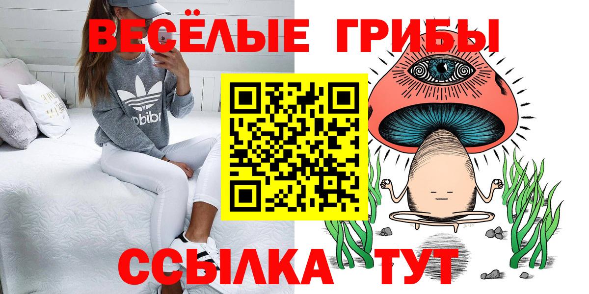 Чайковский  Галлюциногенные грибы ЛСД  Вход с VPN 